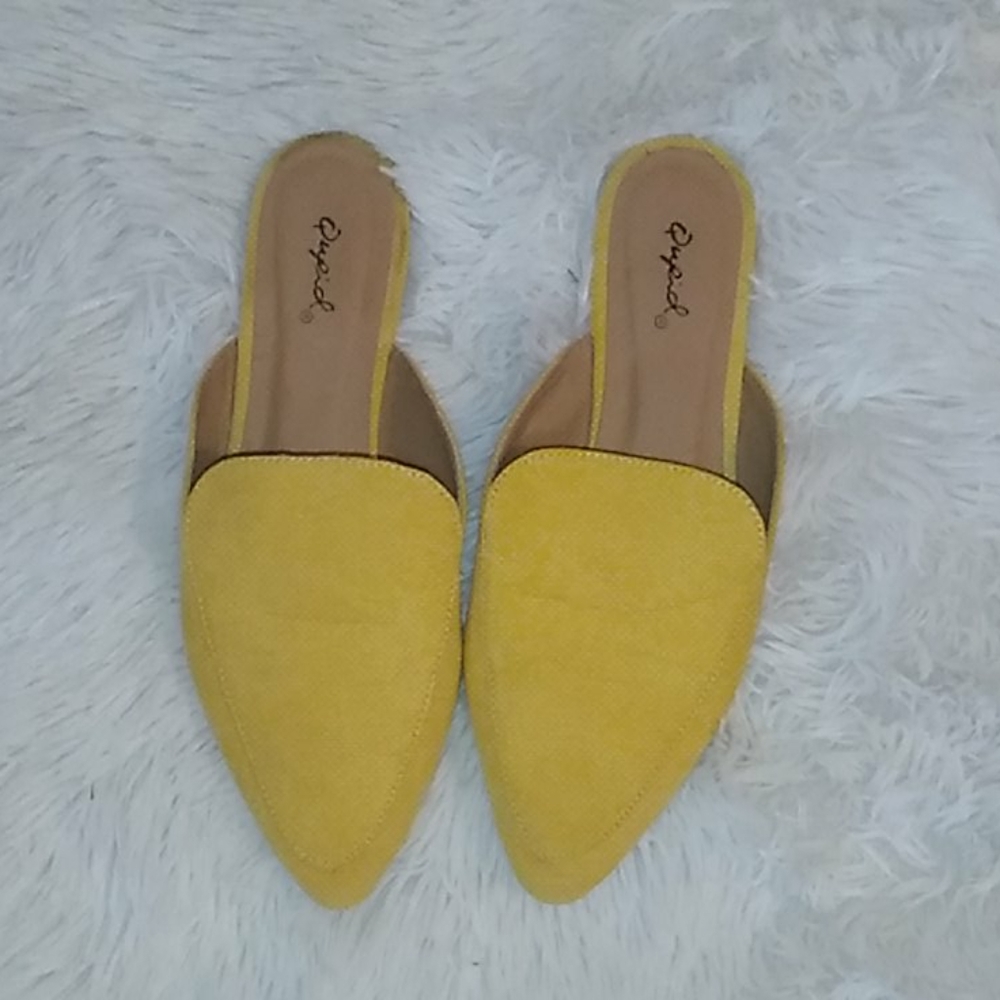 Pointy Toe flats.